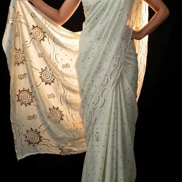 Full-length view of Chandni pale mint Mul Chanderi mukaish saree