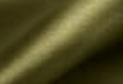 Textured Olive Green fabric swatch