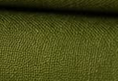 Textured Moss Green fabric swatch