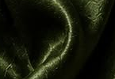 Textured Forest Green fabric swatch