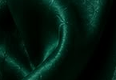 Textured Bottle Green fabric swatch