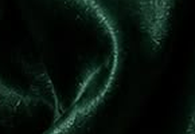 Textured Hunter Green fabric swatch
