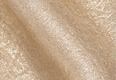 Textured Champagne fabric swatch