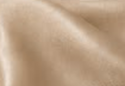 Textured Champagne fabric swatch