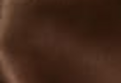 Textured Chestnut fabric swatch