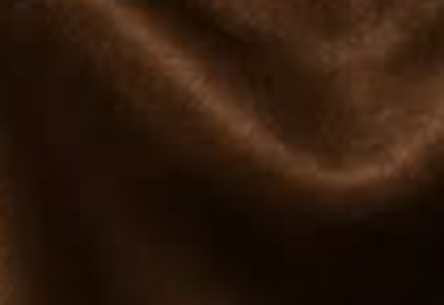 Textured Espresso fabric swatch