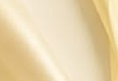 Textured Vanilla fabric swatch