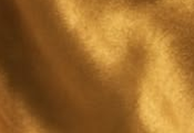 Textured Gold fabric swatch